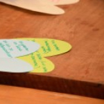 FiVo 2014 - Begabungen